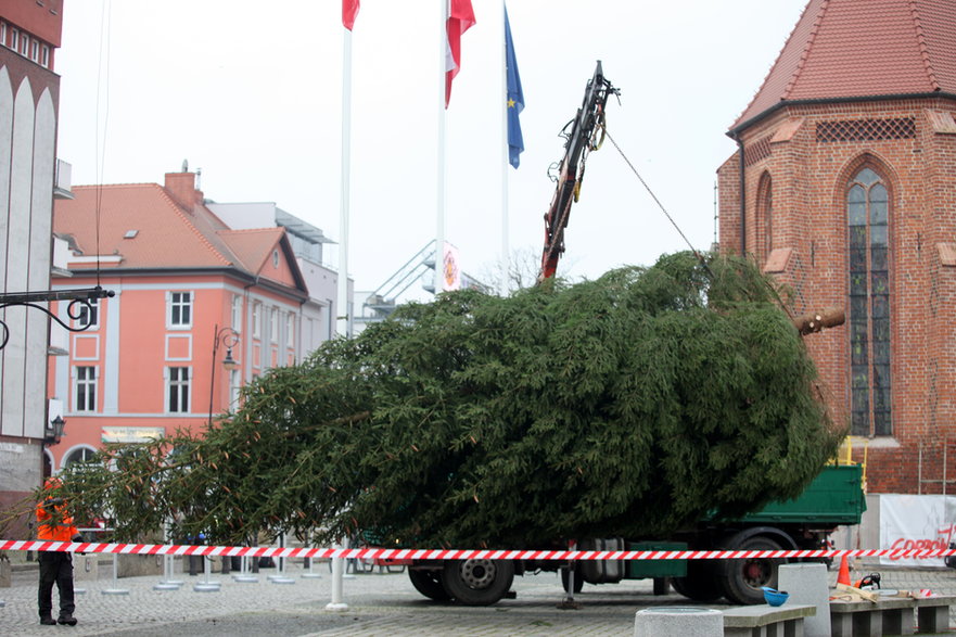 Świąteczne ozdoby w Gorzowie