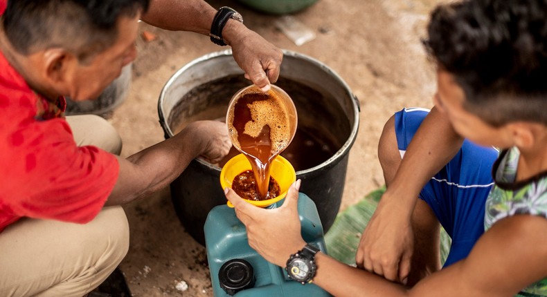 Ayahuasca is often made of two plants that grow in the Amazon.Picture Alliance/Getty Images