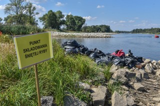 Senat chce zmian w tarczy nadodrzańskiej