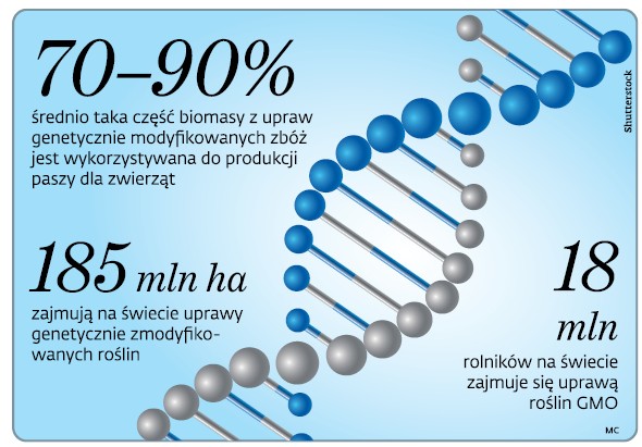 18 mln rolników na świecie zajmuję się uprawą GMO