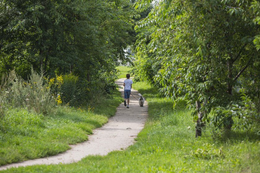 Nowa trasa na Naramowice