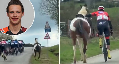 Koń szarżował na peleton. Do akcji wkroczył jeden z kolarzy. "Bohater bez peleryny" [WIDEO]