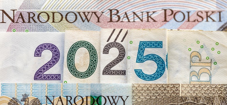 Jakie podatki dla przedsiębiorców w 2025 roku? Do 20 lutego trzeba dokonać wyboru