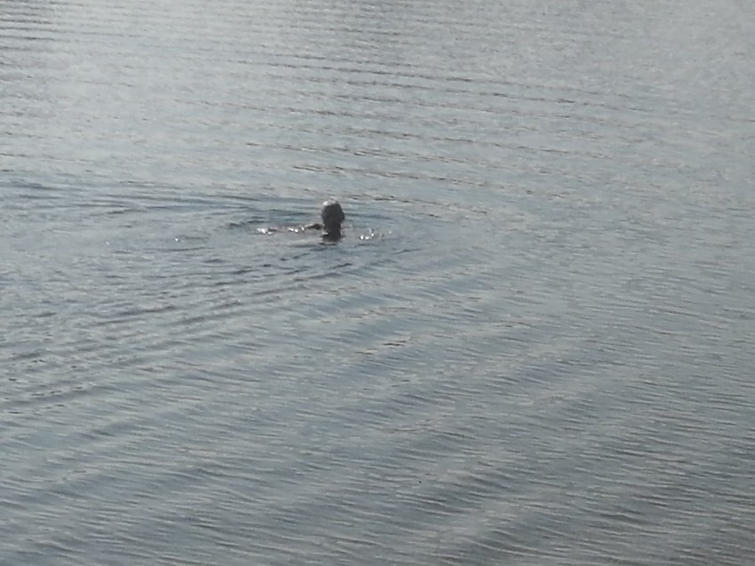 Ada Ciganlija kupači oktobar