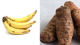 23-year-old Ghanaian jailed 12 months for stealing cocoyam and 7 bunches of plantain