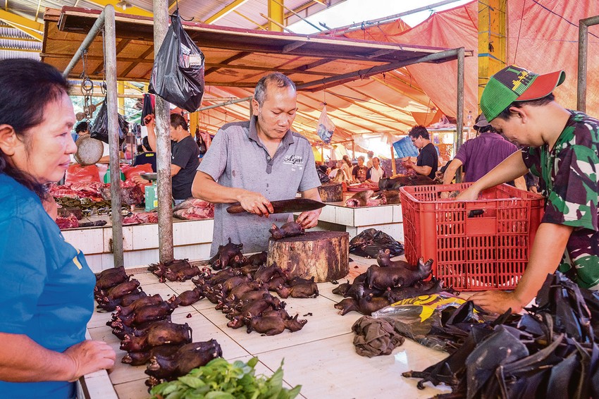 Ponuda na pijacama nije za svačiji ukus