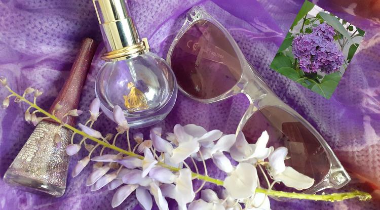 Lila életérzés: most virágzik az orgona és a lilaakác, a parfüm két, lila összetevője Fotó: Katymári Vanda