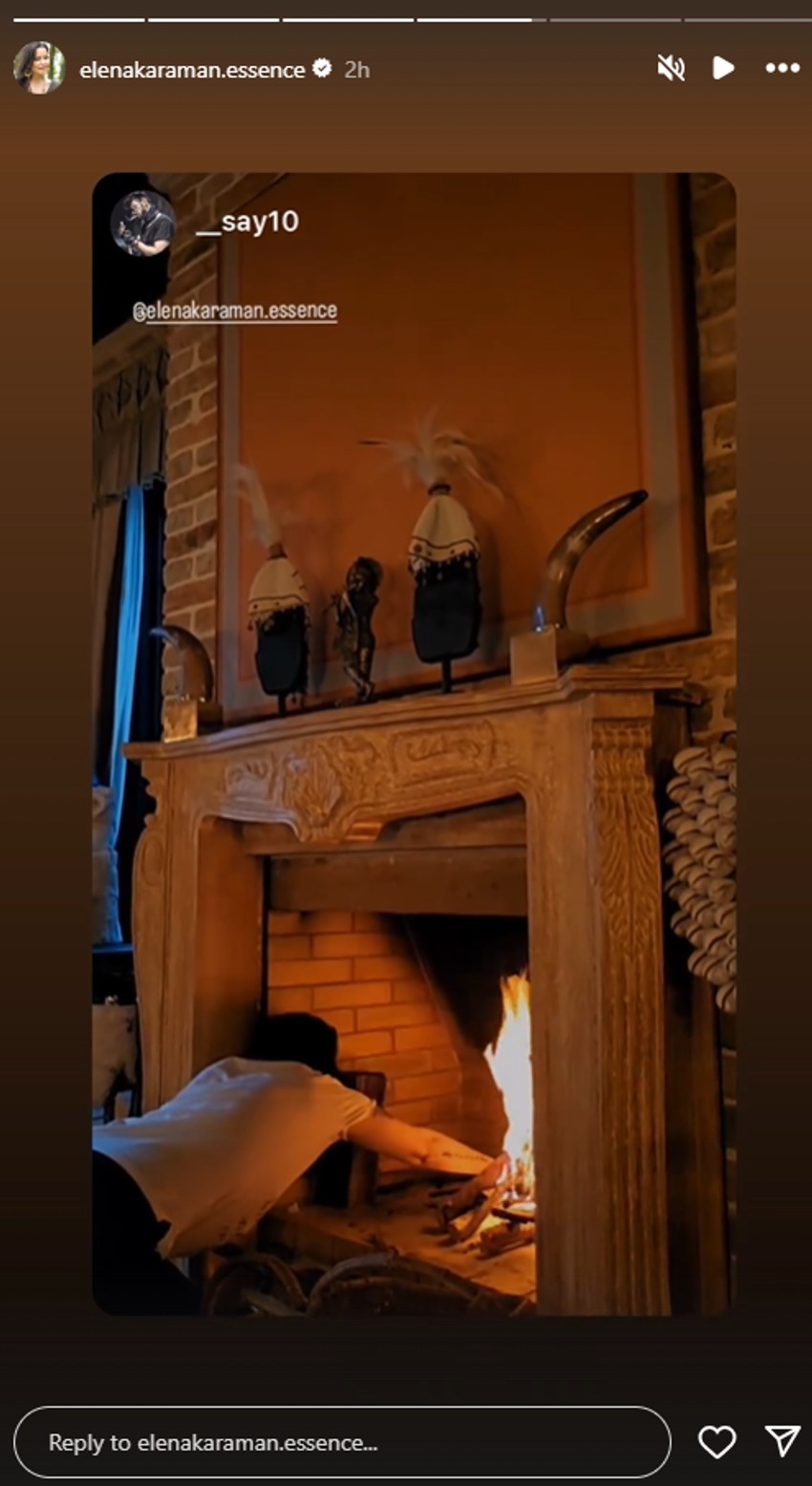 Elena Karaman pokazala dom