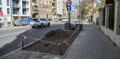 Będzie więcej zieleni na Mostowej