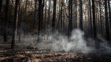 Potężne pożary na Teneryfie. Tysiące ludzi musiało opuścić domy