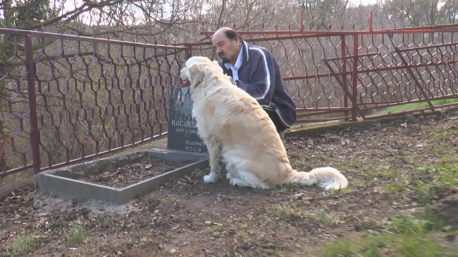 Moca i Baltik pored spoemnika Kasandri