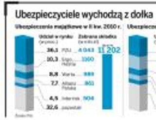 Spółki życiowe ratują wyniki firm majątkowych