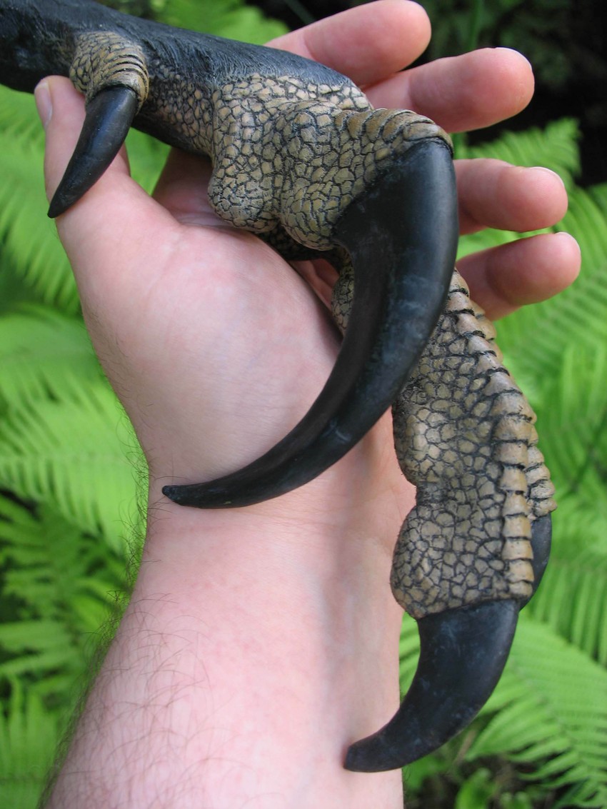 Umetničke slobode u izradi rekonstrukcija uslovljene naučnim saznanjima