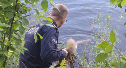 Nagi mężczyzna na ulicach uzdrowiska. Przerażające, co zrobił, gdy zobaczył policjantów