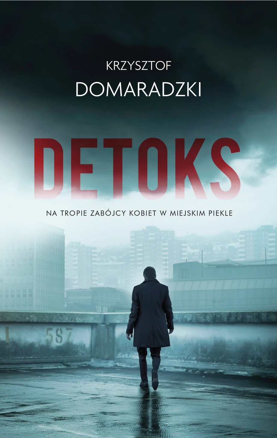 Detoks - okładka