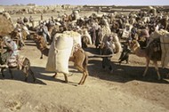 Afghanistan, Kamelfhrer auf Rastplatz / Foto 1973