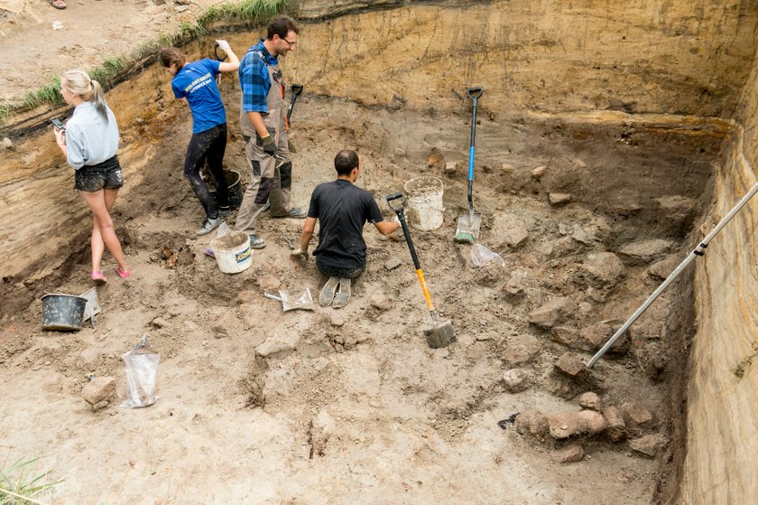 Odkrycia archeologów w Rudzie Śląskiej