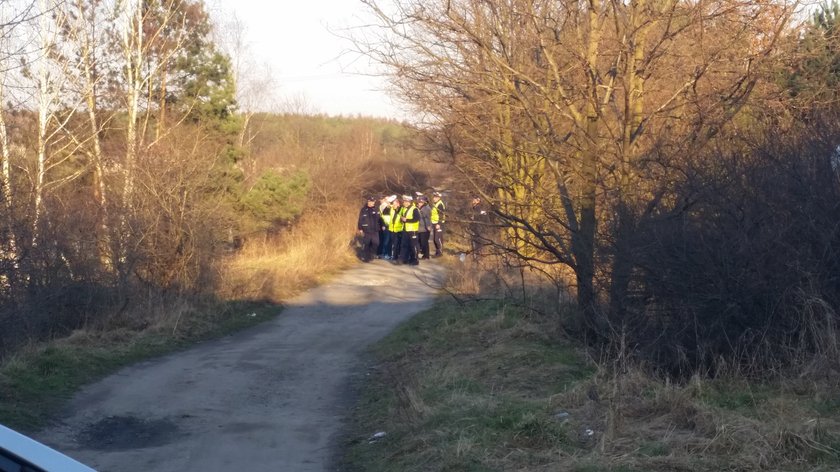 Poszukiwania zaginionej Wiktorii Cichockiej (15 l.) z Krapkowic