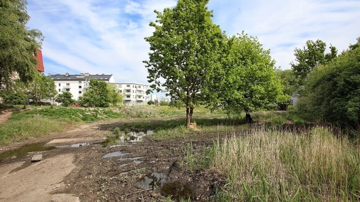 Wrocław: Spór o park Krzycki. Projekt budzi kontrowersje