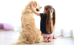 Dzieciństwo z psem może zapobiegać chorobie Leśniowskiego-Crohna