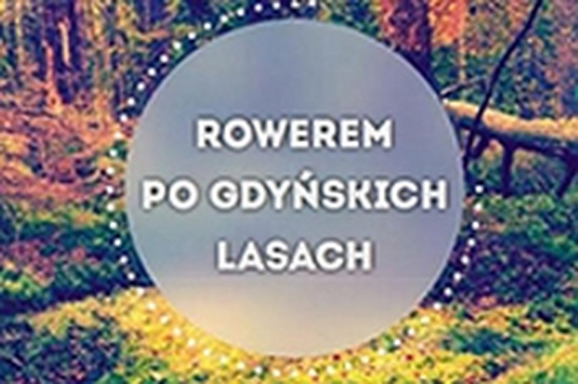 rowerem po lasach