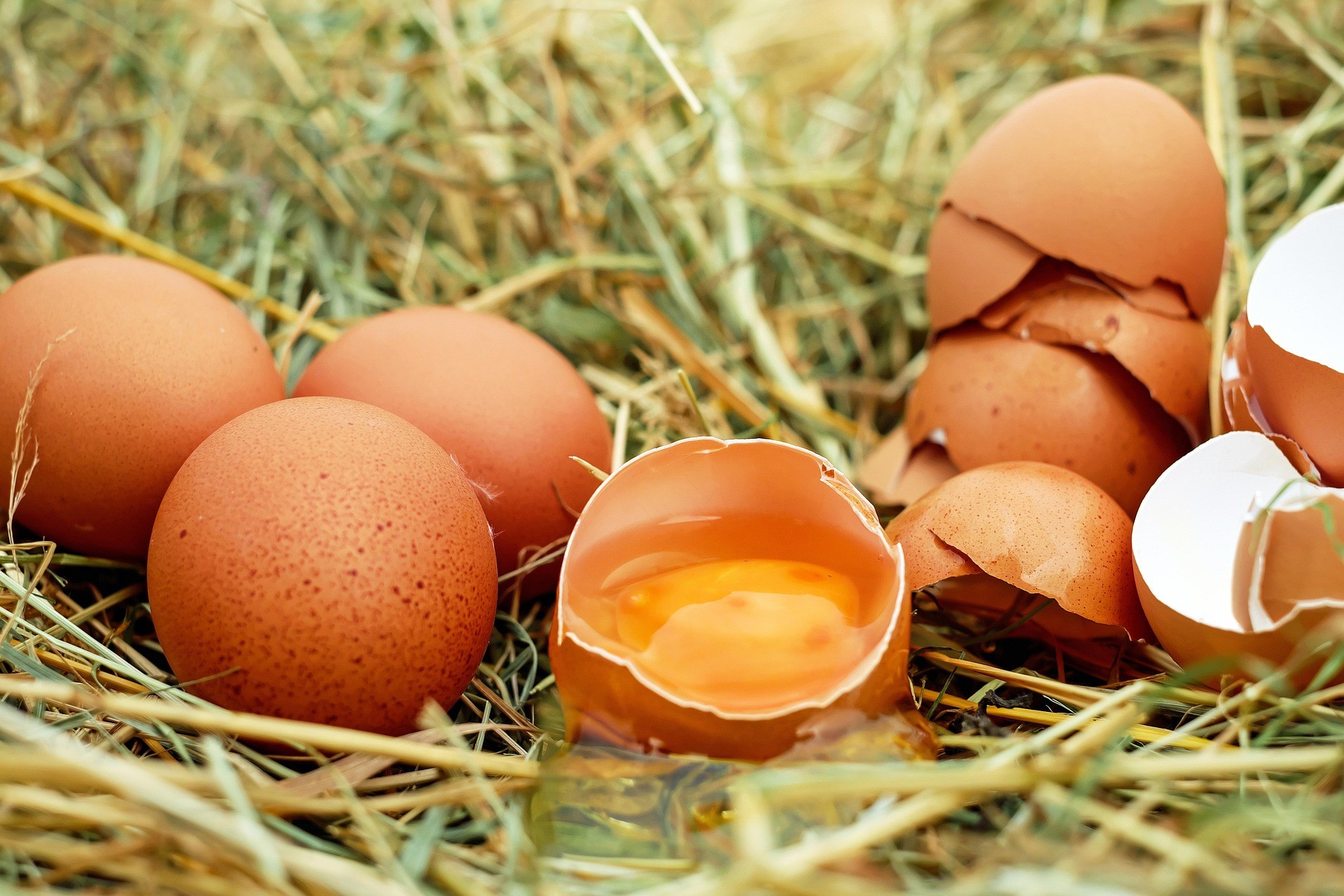 Veľká časť cenných živín vo vajci sa nachádza práve v žĺtku. Obsahuje napríklad cholín, luteín a zeaxantín či vitamín D.