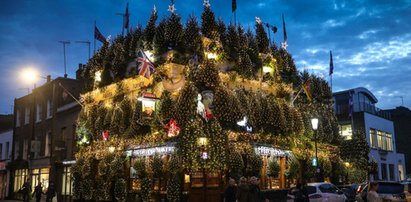 Bar cały w choinkach! Ta dekoracja robi wrażenie