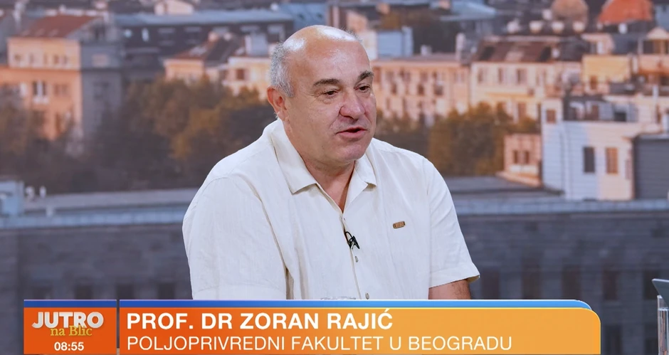 Zoran Rajić