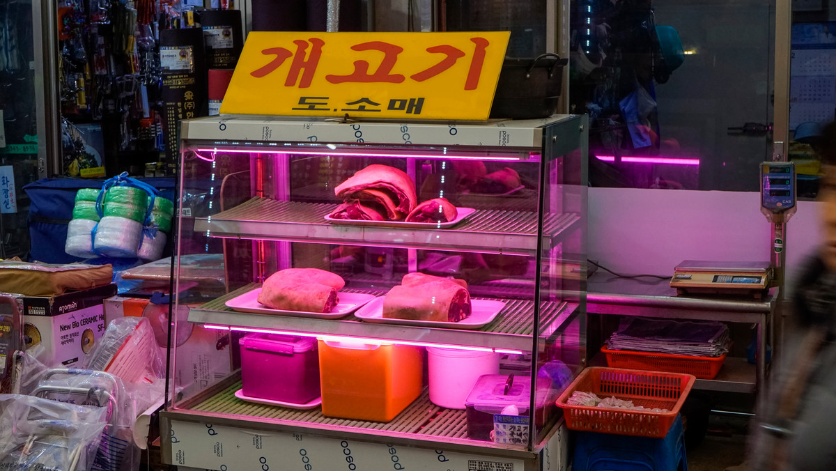 Korea Południowa zakazuje produkcji i sprzedaży psiego mięsa