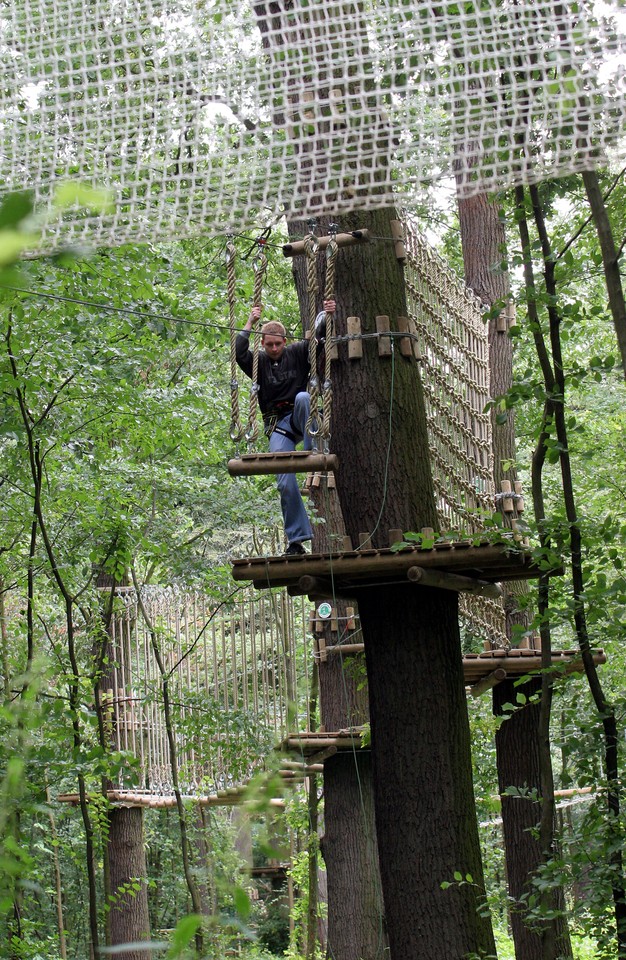 WROCŁAW MAŁPI GAJ PARK PRZYGODY