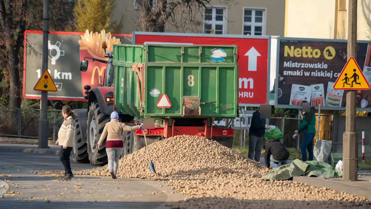 W Oławie na ulicę rozsypała się góra ziemniaków