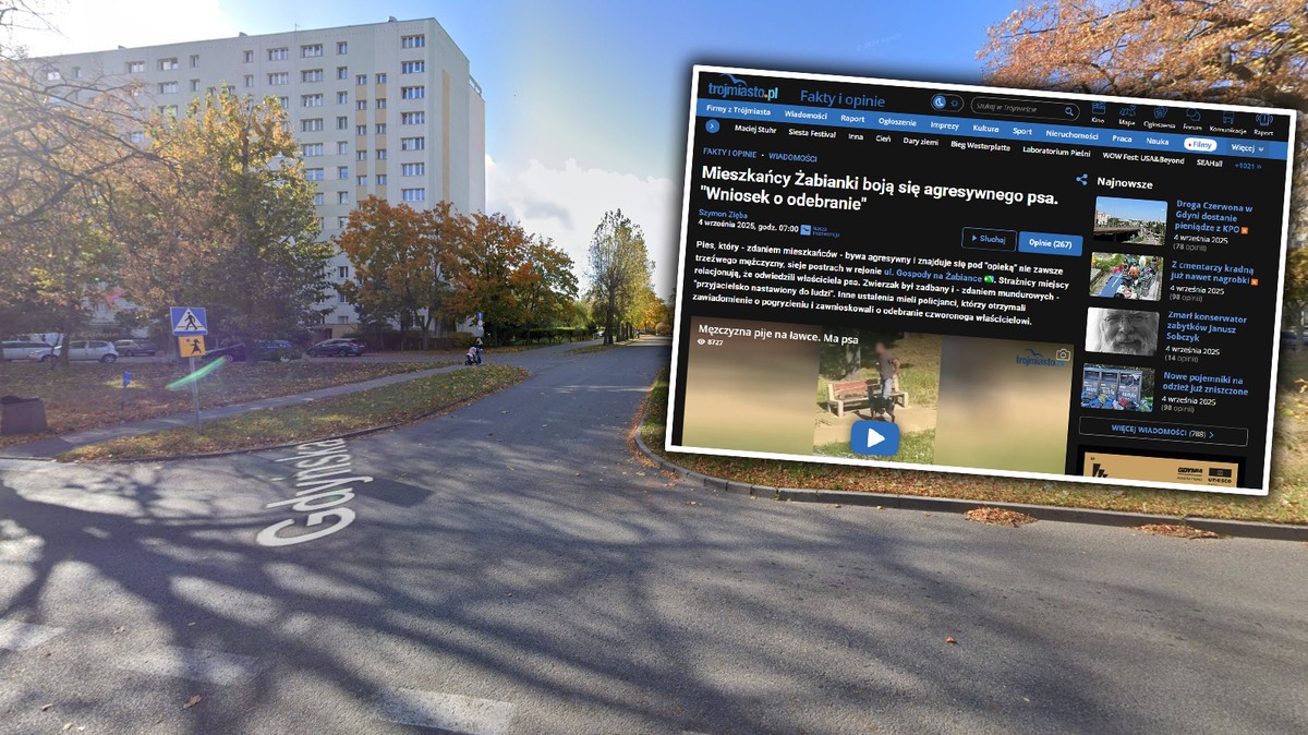 Ludzie na ich widok uciekają w popłochu. Coś złego dzieje się na tym osiedlu w Gdańsku