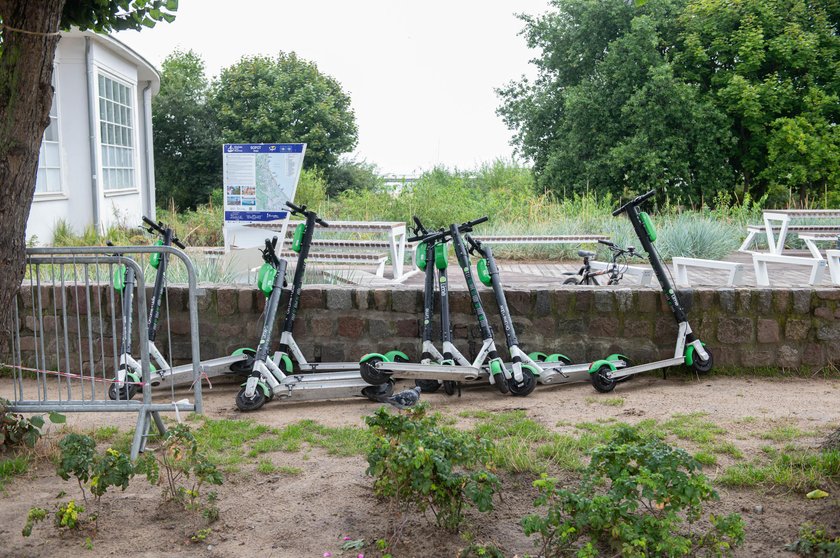 Porzucane są byle gdzie i byle jak.