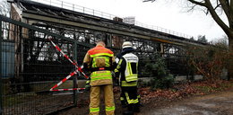 Tragiczny pożar w niemieckim zoo. Przyczyną powietrzny lampion
