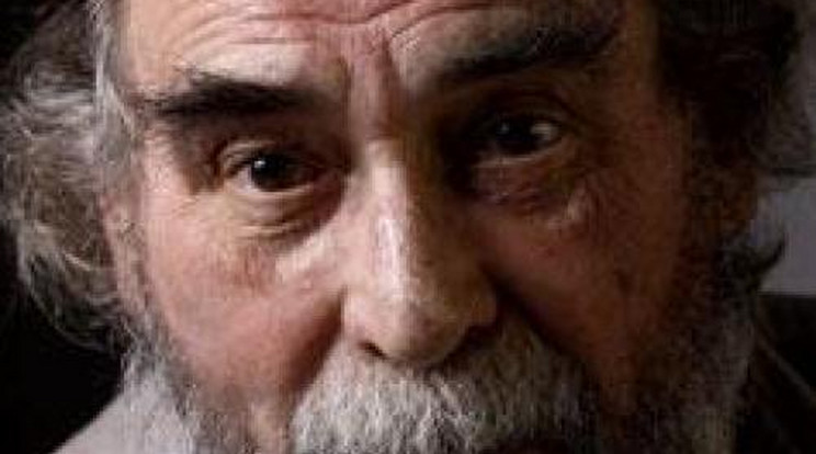 Elhunyt az egykori SZDSZ-es politikus, színész