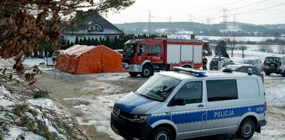 Ferma norek w Kartuzach do likwidacji po wykryciu u zwierząt koronawirusa. Właściciel zdruzgotany