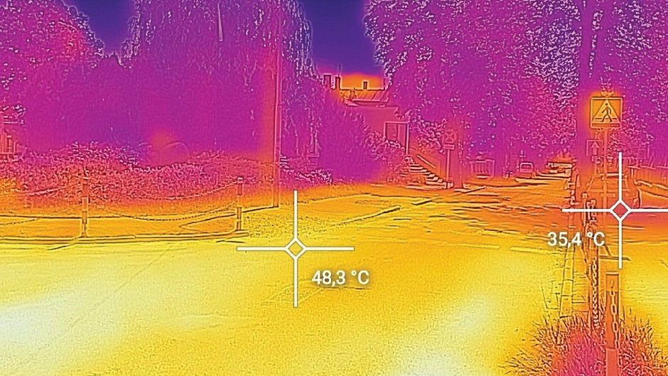 Zmiana temperatury po wycięciu drzewa