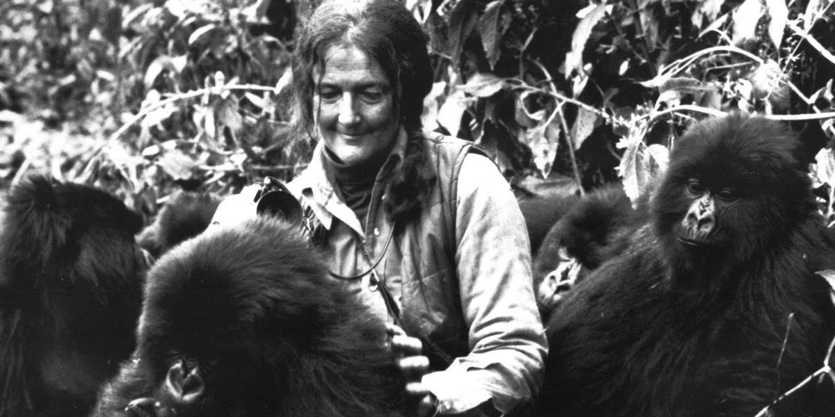 Dian Fossey