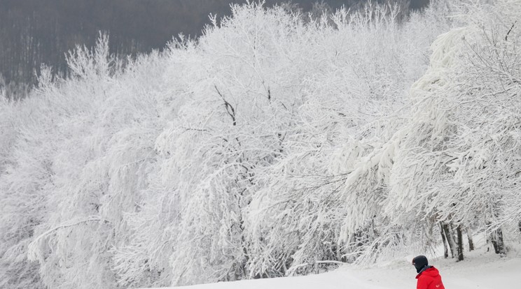 Megnyitott az eplényi síaréna Fotó: MTI/Vasvári Tamás 