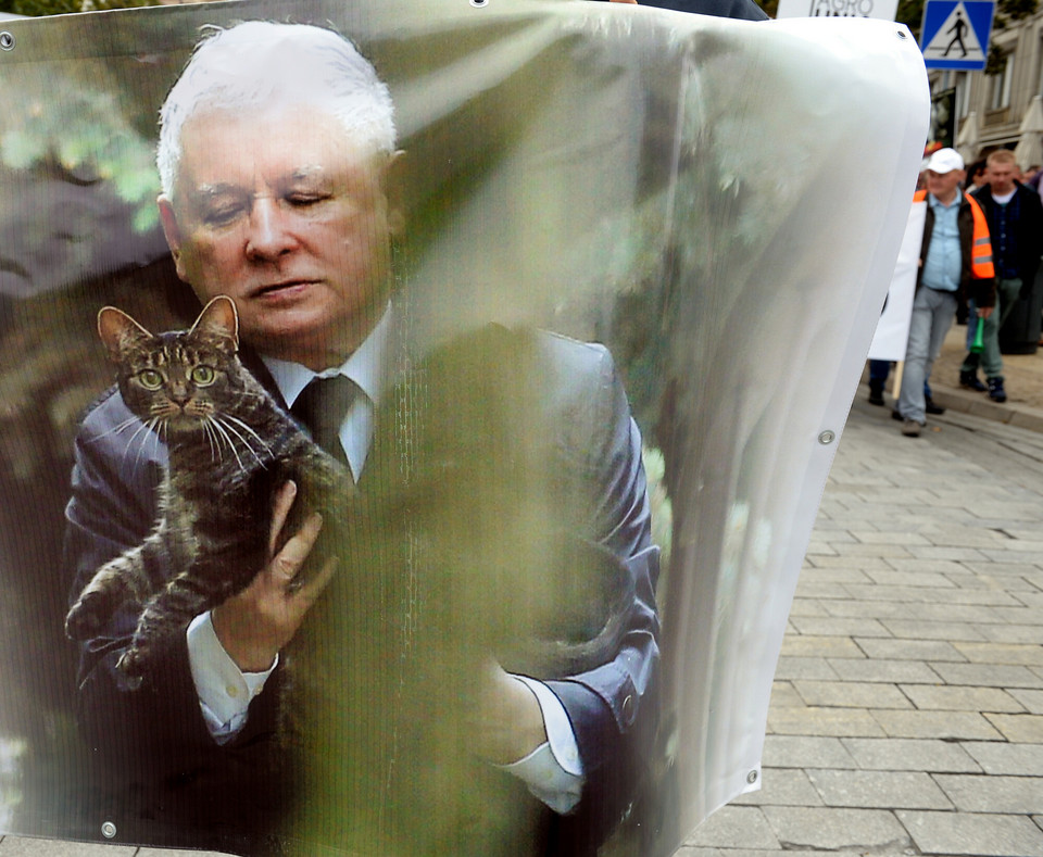 Koty Kaczyńskiego dziś świętują