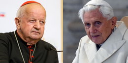 Kardynał Dziwisz napisał list do Benedykta XVI. "Jego Świątobliwość został okrutnie ukrzyżowany"