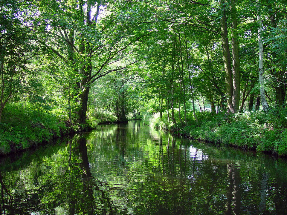 Spreewald