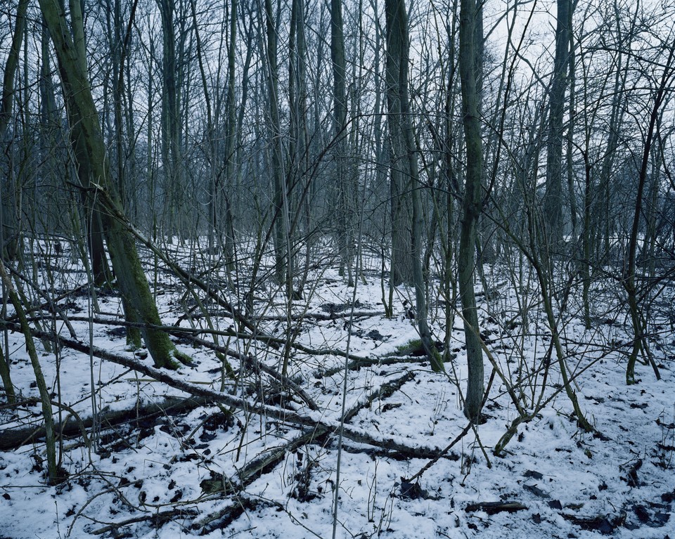 Vebranden-Molen, West-Vlaanderen (Belgia), Chloe Dewe Mathews, 2013 r.