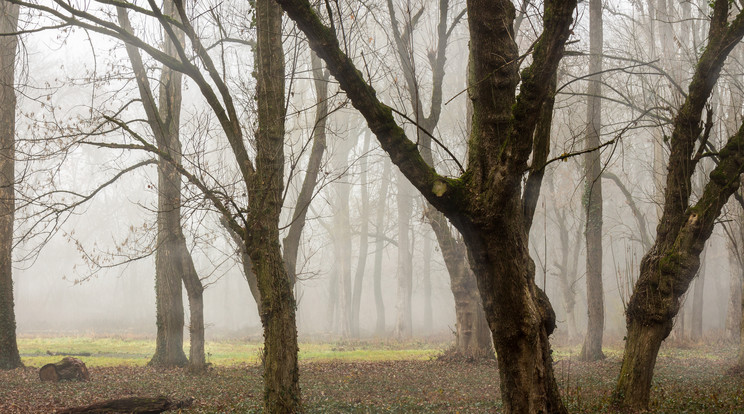 Leszáll a köd és jön a hideg is /Fotó: Northfoto