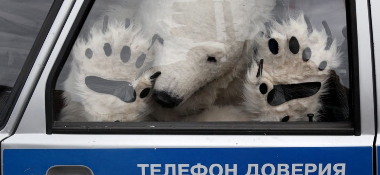 Rosjanie aresztowali polarnego niedźwiedzia. Demonstracja Greenpeace rozbita