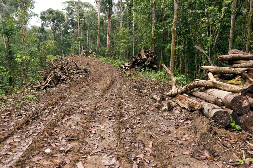 Urbanizacijom netaknute prirode izlažemo se velikim rizicima