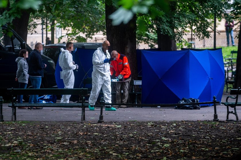 Makabryczne zabójstwo na krakowskich Plantach. Nie żyje 62-latek