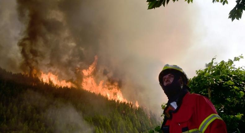 A firefighter looks on as he works to extinguish a wildfire in Carvalho, next to Pampilhosa da Serra