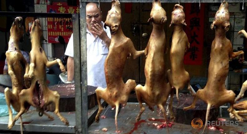 China's dog meat festival raises hackles of fans and opponents