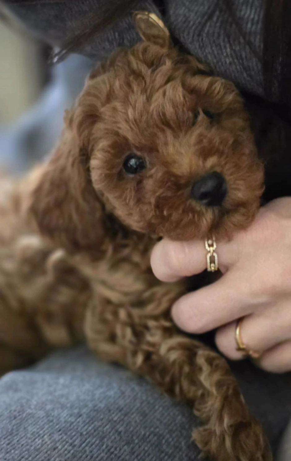 Ana Sević pokazala šta je poklonila mužu 